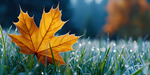 Golden maple leaf with frost lined edge resting on dewy grass at sunrise, soft bokeh glow and cool blue background conveying crisp autumn morning mood