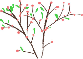 Hand-Drawn Style Cherry Blossom or Peach Blossom Branches Illustration
