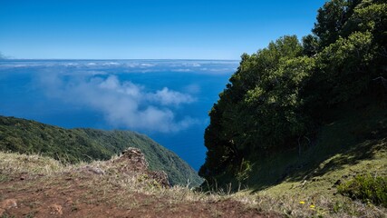 A beautiful view of the ocean with a few trees in the background