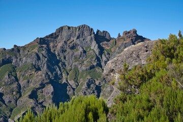 A mountain range with a lush green forest on top