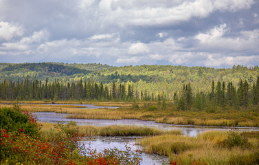 Early fall morning along Costello Creek in Algonquin Park, Canada