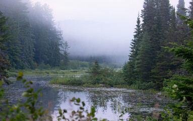 Early foggy fall morning along Costello Creek in Algonquin Park, Canada