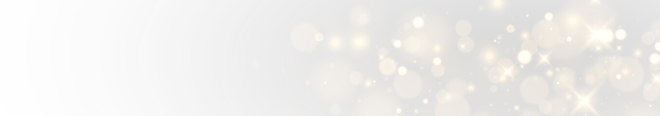 Brilliant Holiday Magic with Shooting Starlight