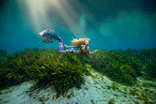 Side view of a beautiful mid adult woman with a butterfly pattern mermaid tail swimming along the ocean floor