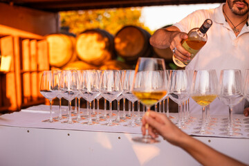 calice di vino bianco tra le mani