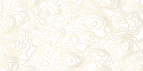 Elegant abstract topographic contour line pattern in soft gold on white background. Minimal luxury design ideal for wallpapers, branding, packaging, textiles, maps, and modern decorative visuals.