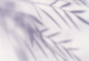 Soft abstract background with purple leaf shadows on a light textured surface, featuring diffused lighting and gentle gradients for design and editorial use