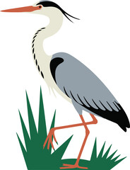 Fototapeta premium Stylized illustration of a grey heron standing in green grass