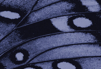 Abstract close up of a textured blue and purple pattern featuring curved lines, circular forms, grainy surface texture, and atmospheric wave-like motifs evocative of fabric