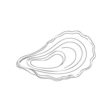 Minimalist Outline Drawing of an Oyster Shell Seafood Delicacy Illustration