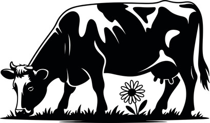 Black and white cow grazing near flower grass