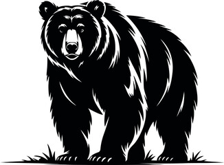 Black bear standing on grass wildlife animal