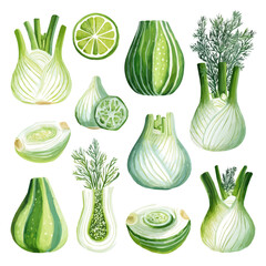 An EPS format illustration, vector, simple flat 2D icon, minimalist design, icon set, A Simple 2D Vibrant Vibrant Festival Squash Collection illustration isolated on a white background