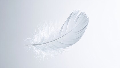 Obraz premium White feather floating in air elegant white feather drifts gracefully through open air caught in gentle breeze