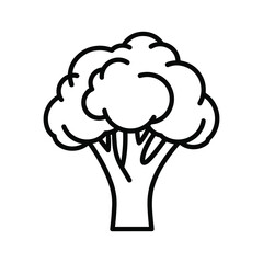 Illustration of a broccoli floret with a thick stem healthy food concept