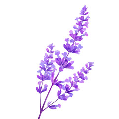 Naklejka premium Very Simple flat 2D illustration of lavender sprig isolated on a white background, vector mint leaves branch icon set, simple design in a flat design, 2D illustration