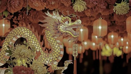 Advanced visual composition technology featuring high-resolution imaging, artistic elements, and specialized optics for professional markets and buyers