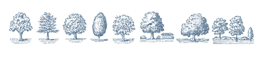 Set of trees. Vintage woodcut linocut engraving style vector illustration.
