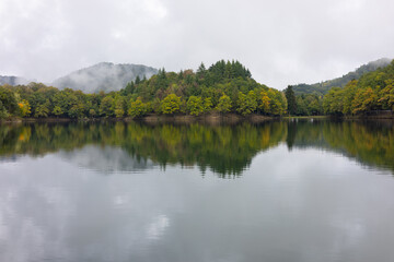 Lake in a foggy forest