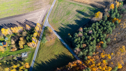 Aerial view of a serene rural landscape featuring a winding road intersecting fields and a forest. Autumn colors create a vibrant scene in the countryside.