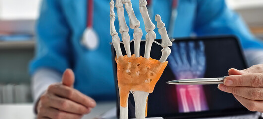 Medical professional examines anatomical model of hand during patient consultation
