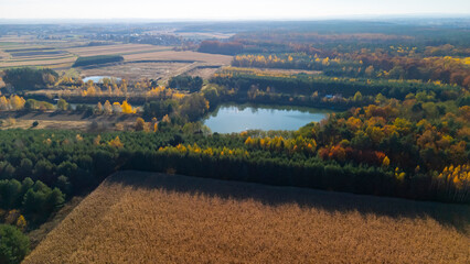 Aerial view of picturesque autumn landscape featuring a serene lake surrounded by vibrant fall foliage, agricultural fields, and lush pine forests under a clear sky.