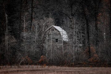 Old Barn in Forest