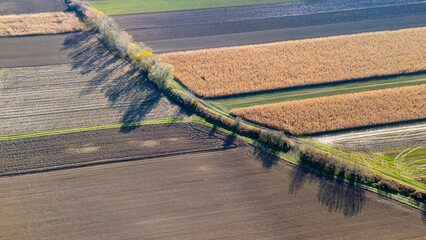Aerial view of agricultural fields showcasing a patchwork of brown and green land with trees casting shadows, representing the diverse textures of farmland in early autumn.