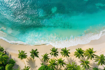 aerial view of tropical beach with turquoise ocean, white sand, palm trees, sunny day, relaxing holiday vibe