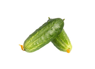 Cucumbers isolated. Fresh organic cucumber on white background.