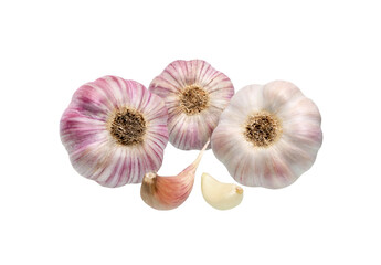 Garlic isolated set.
