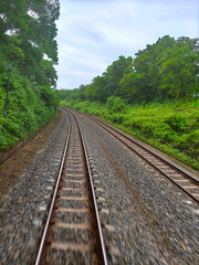 Fototapeta premium Two sets of parallel railroad tracks converging in the distance, surrounded by green trees, grass, and dry earth, with residential buildings visible in the background under a moody cloudy sky.