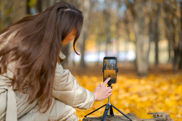 Autumn photography concept – young woman adjusting smartphone on tripod on old tree stump among yellow leaves