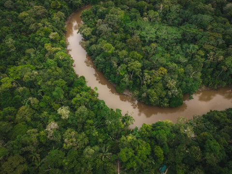 Aerial view of a tranquil river winding through the lush, dense Amazon rainforest, its muddy waters reflecting the vibrant green canopy, Tipishca, Sucumbios, Ecuador.