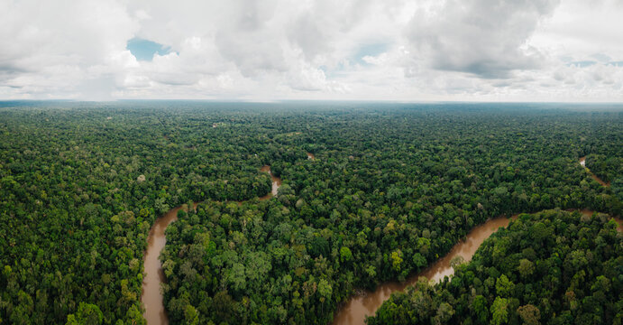 Aerial view of a sinuous, muddy river snaking through a dense, emerald rainforest canopy under a vast, cloudy sky, Tipishca, Sucumbios, Ecuador.