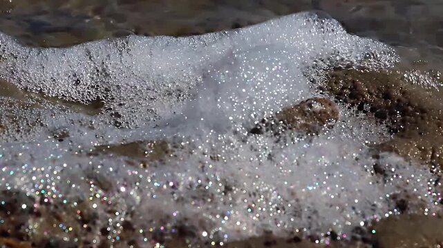 the salty foam of the estuary shimmers in the sun