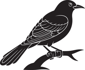 Black silhouette of a bird with detailed feathers perched on a branch white