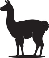 Black silhouette of a standing llama with a fluffy tail on a white background animal