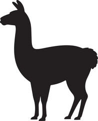 Black silhouette of a standing llama with fluffy tail on white background animal