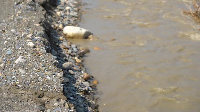 New life of Dander River after flood