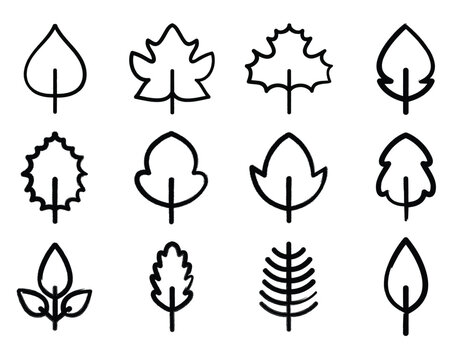 Bounch of Leaves  veriations vector 