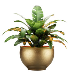 A Lush Green Bird Of Paradise Plant In A Textured Golden Pot Isolated On A Transparent Background With Realistic Lighting
