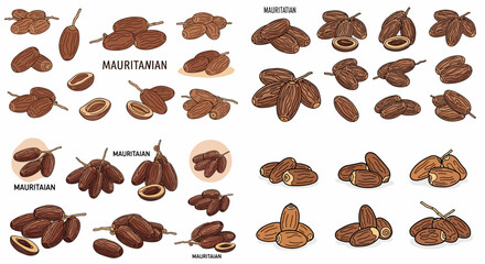 Mauritanian dates collection with various shapes and cuts