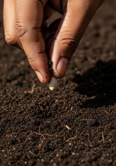 Hand planting a seed in fertile soil for growth.