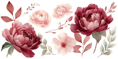 Elegant floral arrangement of blush pink and burgundy roses and peonies.  Delicate leaves and stems.  Watercolor-like style