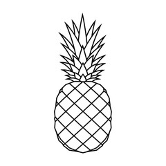Pineapple Outline Vector Illustration