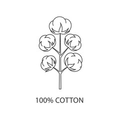 Cotton Plant Branch Outline Vector Illustration