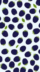Cartoon-style illustration of scattered ripe blackberries with leaves
