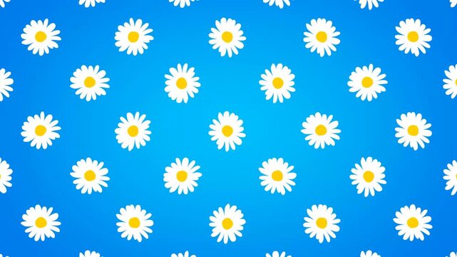seamless floral pattern background video