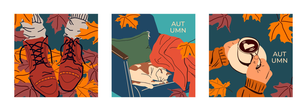 Bright cover, card, poster: boots in fallen leaves, a sleeping cat under a blanket, a hand in a sweater with a cup of coffee, autumn leaves. Cozy vector illustration. Square format, warm colors.